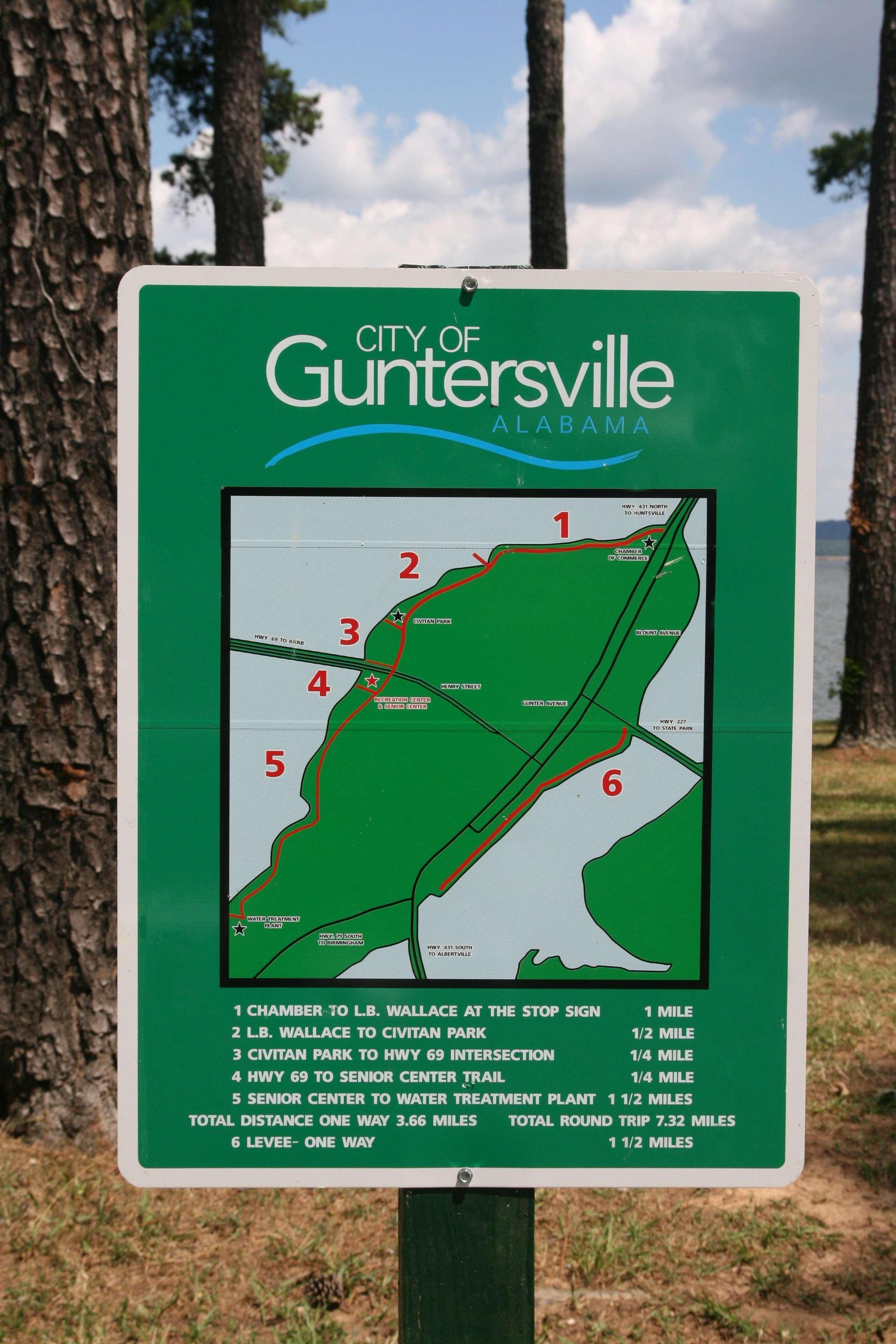 Hampton Inn Guntersville Buitenkant foto